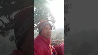     2023  Happy Lohri Wishes Status 2023 lohristatus2023shortsviral