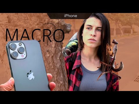 iPhone 13 Pro Max тут только камера и Макро ли она?