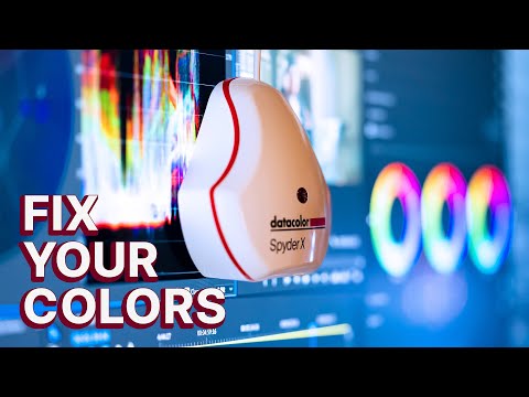 Your Monitor Colors are Wrong | How to Calibrate with a SpyderX Elite