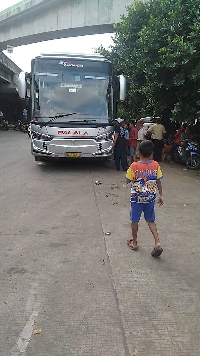 basuri modul dav musical air horn bus palala