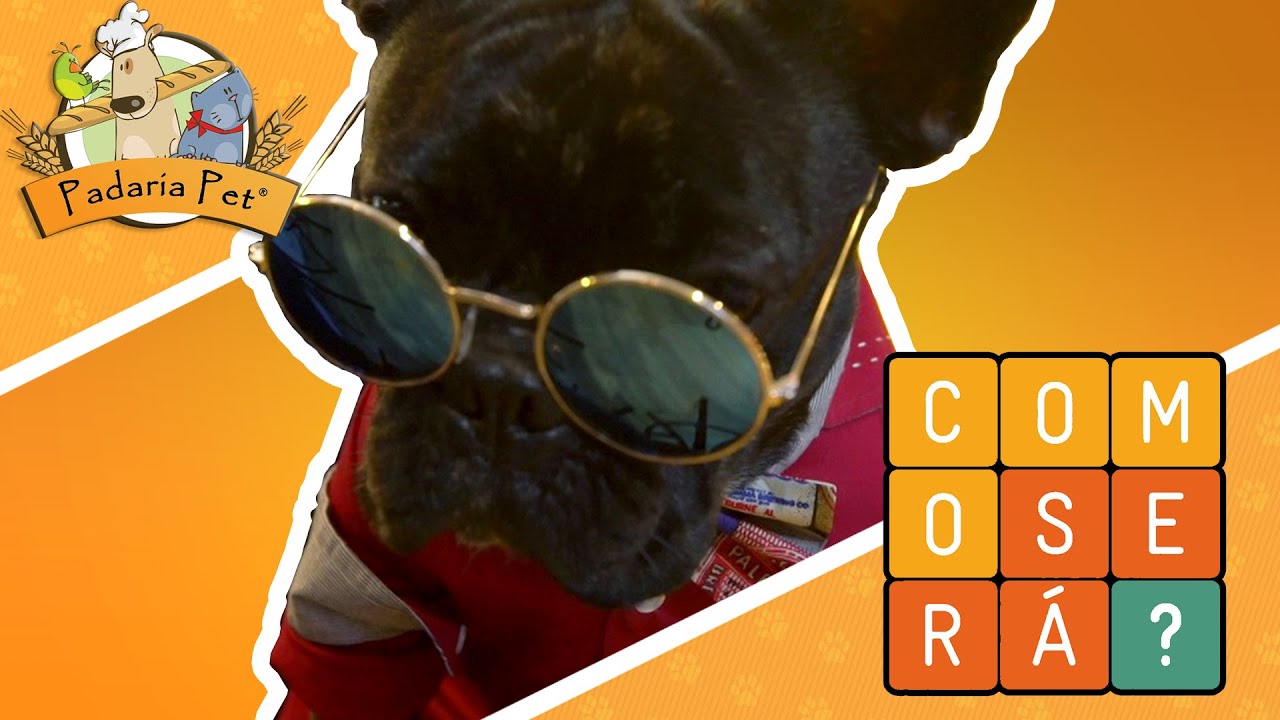 camera iphone 8 plus apk Padaria Pet - Como Será? - 23/07/2016
