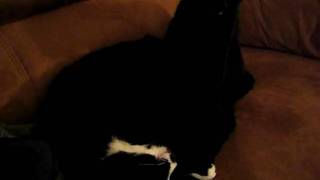 MVI_4771.AVI