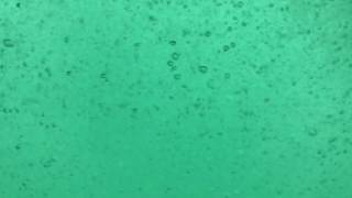 鳴門のうず潮の水中映像