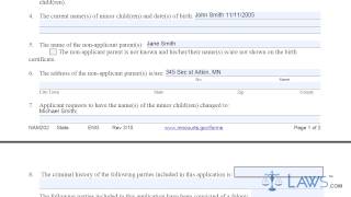 Form MN NAM202 Application for Name Change of a Minor