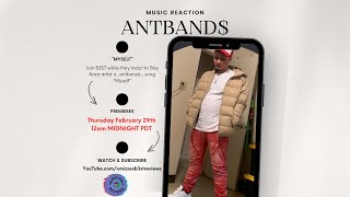 AntBands 