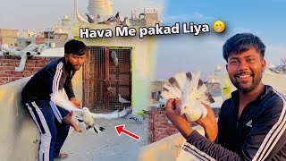 Utde Udte Hava me Pakad 😨 Liya Kabootar Ko | catch Kabli Kabootar ☺️