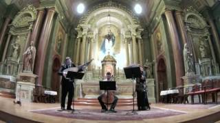 haydn: trio in f (complete piece) performed by the caladrian ensemble