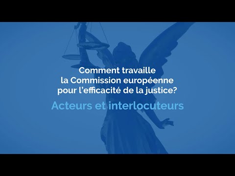 Comment travaille la Commission européenne pour l'efficacité de la justice du Conseil de l'Europe ?