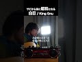 サビから急に昭和になる「白日 / King Gnu」#shorts