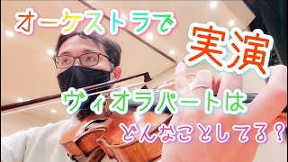 【実演】オーケストラでヴィオラって何やってるの？