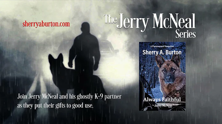 Jerry McNeal Series
