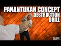 PANANTUKAN CONCEPT - ONLINE TRAINING - fundamental techniques of destruction