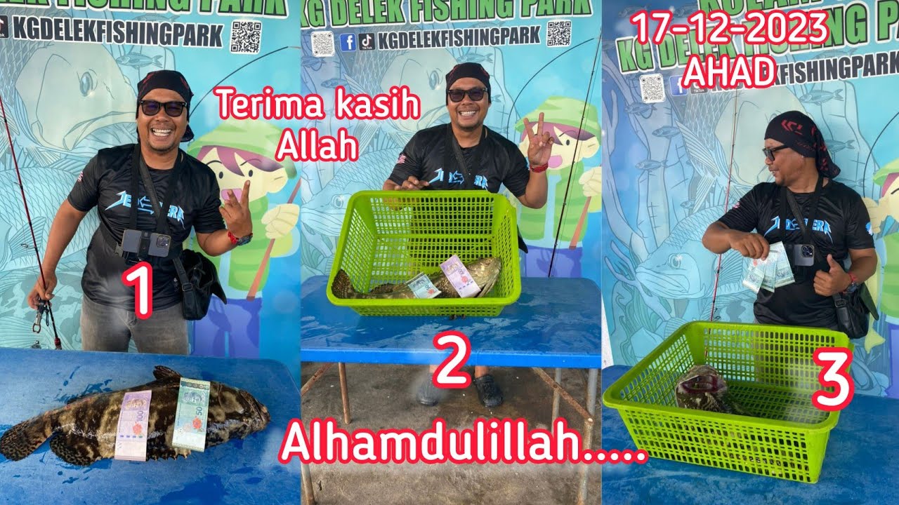 Ahad 17-12-2023 Alhamdulillah,3ekor KARAPUNDENG tewas syukur pada mu Yaallah KOLAM 1 DELEK #grouper