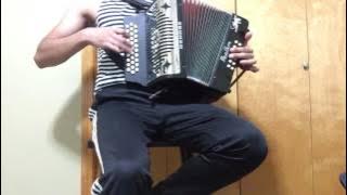 Bandit Radio (Cheeki Breeki) Accordion