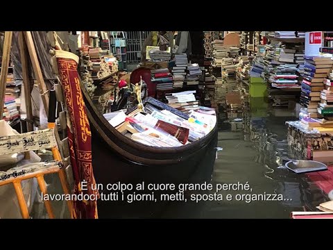 Venezia, allagata storica libreria "Acqua alta". Dipendente: "Colpo al cuore ma non ci arrendiamo"