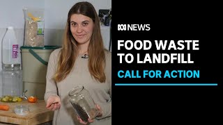 Push to boost recycling as most food waste heads to landfill. | ABC News