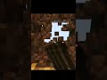 #minecraft #building #shorts