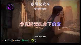 2025華語網絡流行音樂 ||《秋風又吹來》|| 恰恰恰恰恰 || 動態歌詞