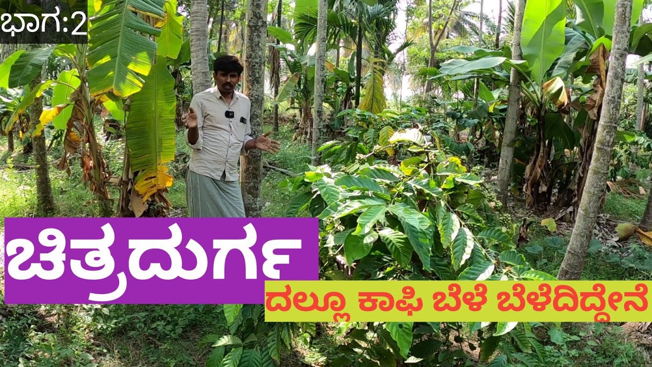 ಬತ್ತಿದ ಬೋರ್ವೆಲ್ ಗಳಲ್ಲೂ ಈಗ ಹತ್ತು ಅಡಿಯಲ್ಲಿ ನೀರು ಸಿಗುತ್ತಿದೆ... ಇದಕ್ಕೆ ಕಾರಣ ನಮ್ಮ ಸಹಜ ಕೃಷಿ