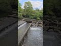 Interesting Architecture for the river????  #explore #nature