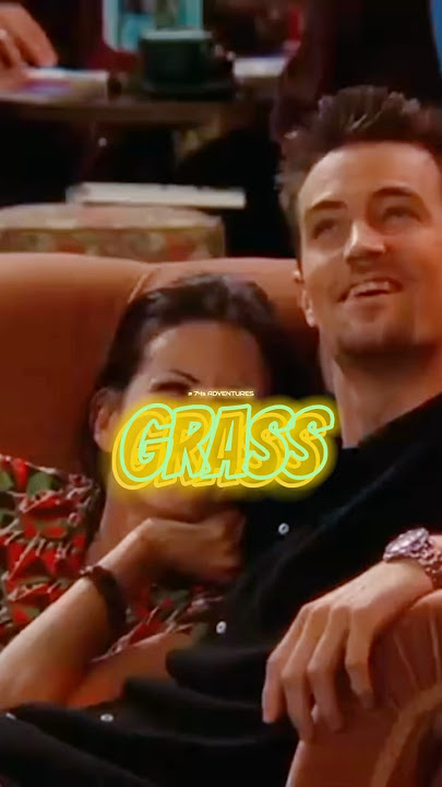 Two Faced Tommy! 😅 #Friends#Ross#Monica#Chandler#Joey#BenStiller#Rachel#Mondler#Phoebe#74sadventure