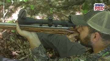 Squirrel Hunting Tips & Tricks