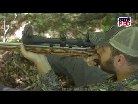Squirrel Hunting Tips & Tricks