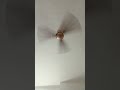 #comedy #funny #comedyfilms #shorts #shorts #subcribe #viral #yt s.g_pro
