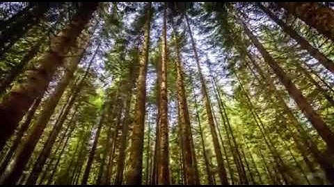 ماذا قال الشيطان للإنسان يوم القيامه ؟؟  تلاوة القارئ محمد الجعيدي