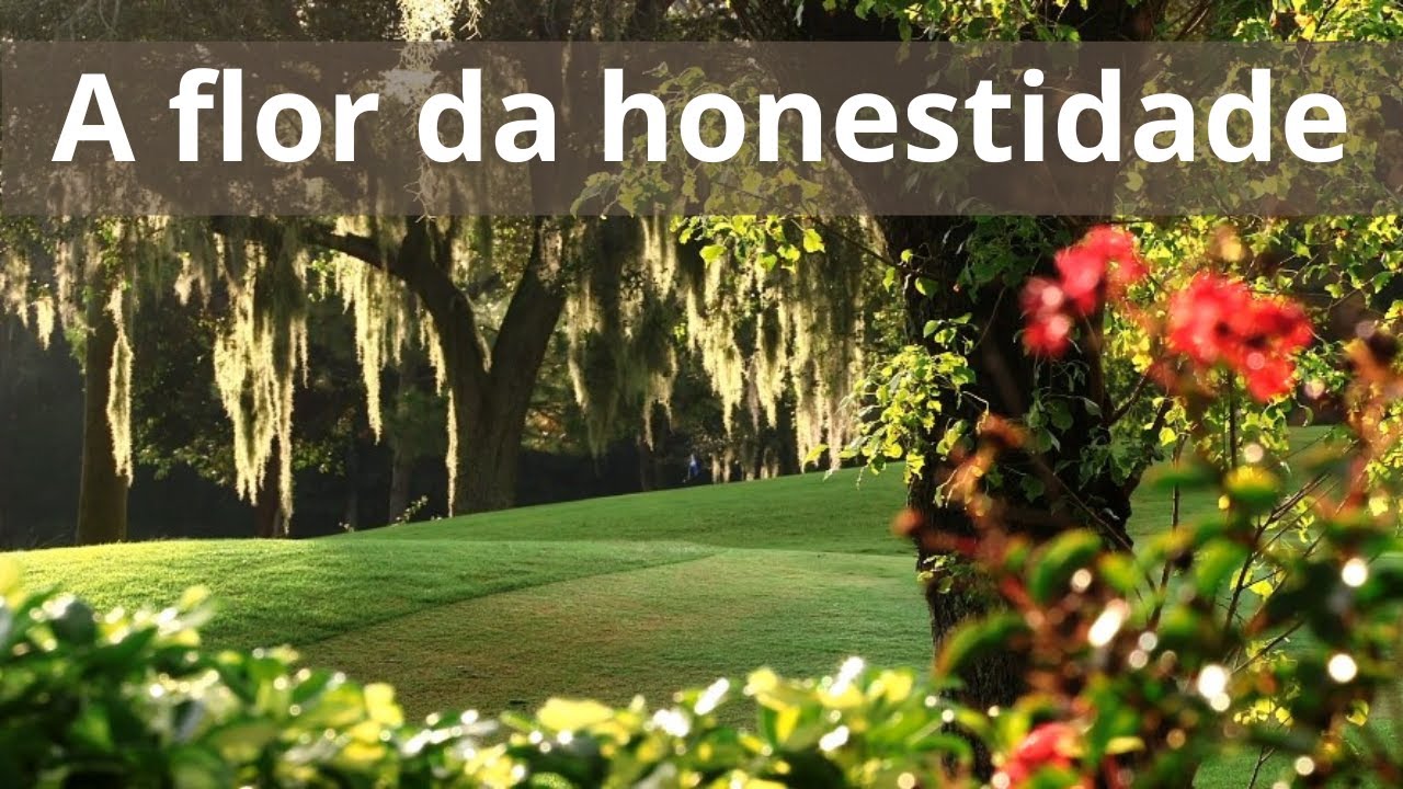 A flor da honestidade - Momento Espírita