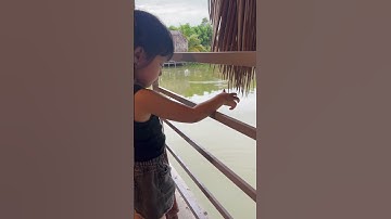 Cô 5 rất thích cho cá ăn! #nguyenanhnang #bna #anhduong