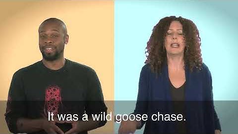 Engels in een minuut: Wilde Ganzenjacht