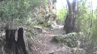Paradise Falls VIC Part 2. Hiking the walking track, into and around behind the Waterfall.