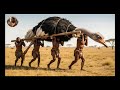 Life 3.2 Million Years Ago: The Giant Ostrich Ancestor Encounters Homo Habilis