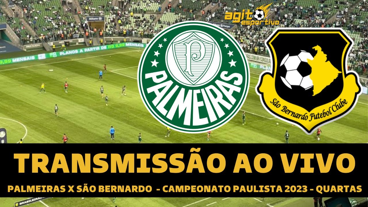 São Bernardo x Palmeiras: veja onde assistir, escalações