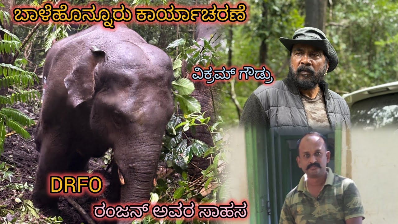 ಸಕ್ರೆಬೈಲು ಆನೆಗಳ ಅದ್ಭುತ ಕೆಲಸ👌ರoಪಾಟ ಮಾಡಿ ಕ್ರೋಲ್ ಒಳಗೆ  ಹೋದ 😜ವಿಕ್ರಾಂತ್ ಹಡ್ಕಬಡ್ಕ ಹೊಸ ಸ್ನೇಹಿತ 🧿