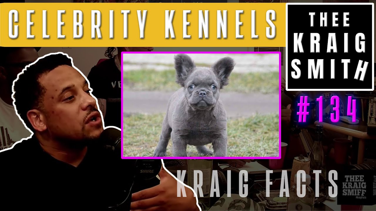 Celebrity Kennels Human Sperm Vs Dog Sperm Kraig Facts Podcast YouTube