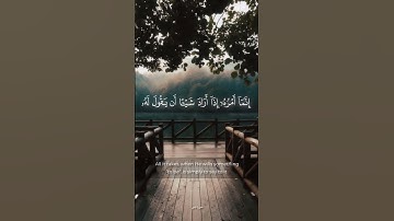 اوليس الذي خلق السماوات والارض بصوت ماهر المعيقلي #islam #quran #قرآن #تلاوات