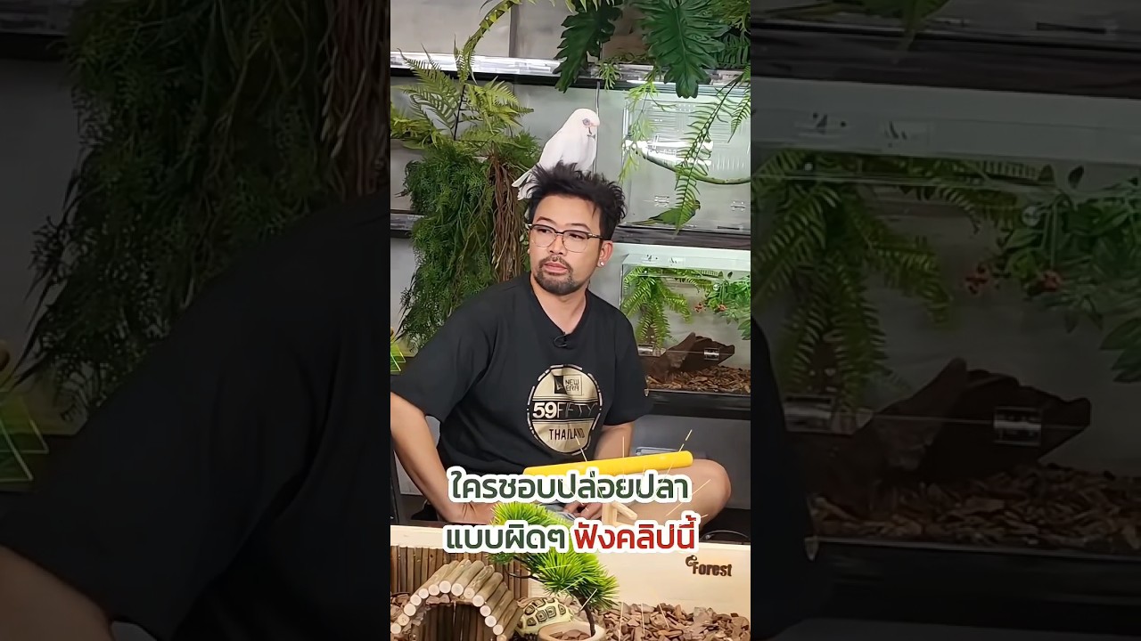 ใครชอบปล่อยปลาทำบุญ ระวังจะบาป เพราะ..!! #Petตะพึด #น้าเน็ก555 #nanake555 #ปลาที่ห้ามปล่อย