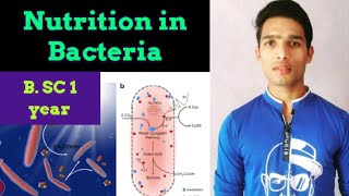 Nutrition in Bacteria