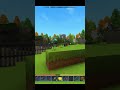 Fun Hytale bug, Space Program