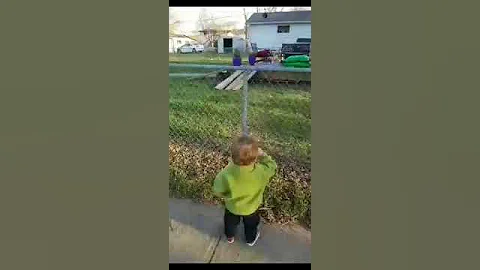 Bad dog