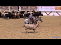 2015 ncha futurity open champions stevie rey von and ed dufurrena