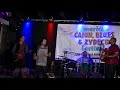 American cajun blues  zydeco festival 2019 dwight blackcat carrier band teil 04