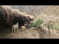 Traditional agriculture system || Village life style