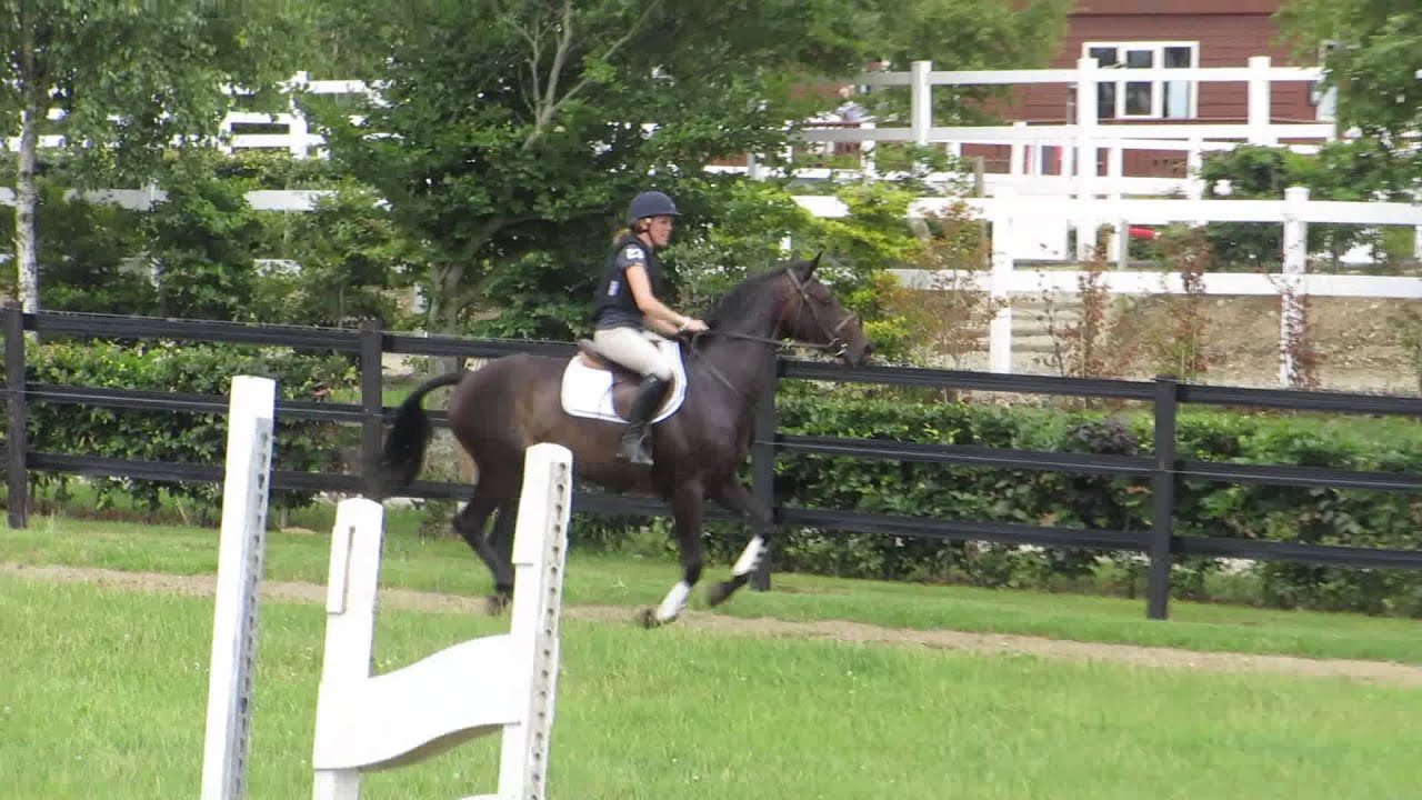 Monbeg Sport Horses - Cass