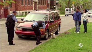 Just For Laughs - Mighty Dog