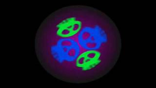 Halloween 2009 Projections Haunted Mansion Holiday Inspired