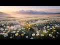 Alpine Pasture at First Light — Pastoral Ambient for Calm Mornings