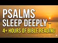 Sleep Deeply with the Book of Psalms 4Hours of Relaxing Bible Reading & Ocean Waves